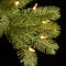 10 Ft. Pre-Lit Feel Real® Downswept Douglas Full Artificial Christmas Tree, Clear Lights